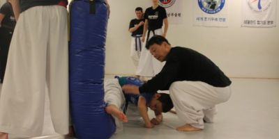 low spinning kick