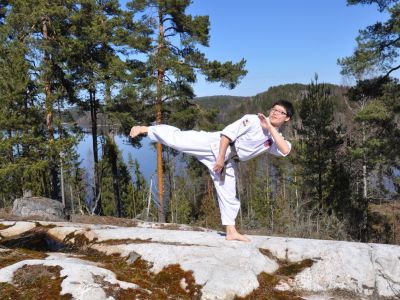 hapkido side kick