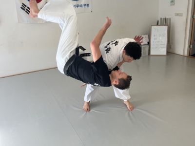 hankimuye throw sangmukwan ijsselstein